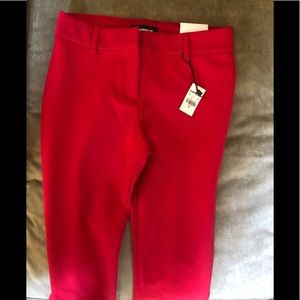 Women’s New Express Pants